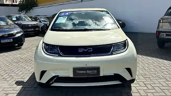 Foto de um byd dolphin