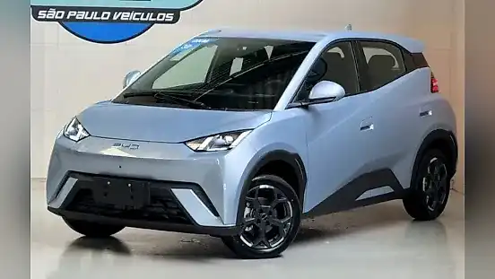 Foto de um byd dolphin mini