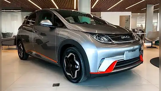 Foto de um byd dolphin