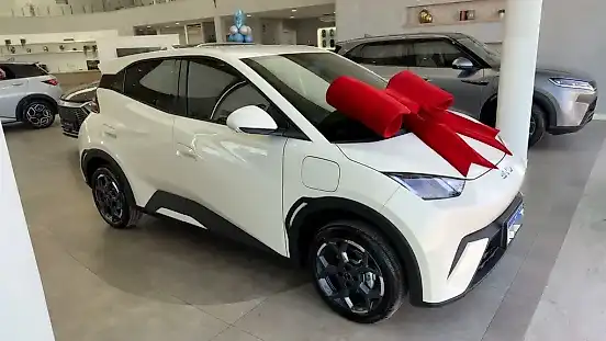Foto de um byd dolphin mini