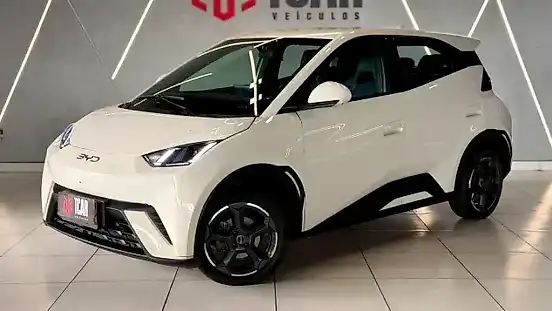 Foto de um byd dolphin mini
