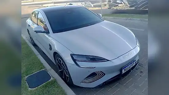 Foto de um byd seal