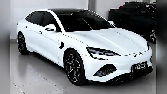 Foto de um byd seal