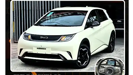 Foto de um byd dolphin