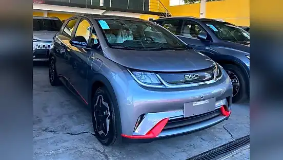 Foto de um byd dolphin