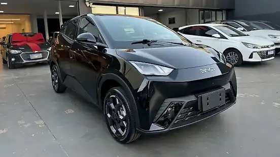 Foto de um byd dolphin mini