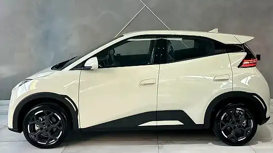 Foto de um byd dolphin mini