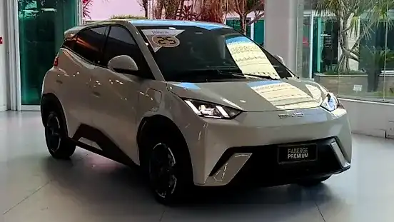 Foto de um byd dolphin mini