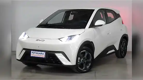 Foto de um byd dolphin