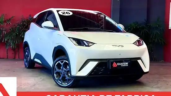 Foto de um byd dolphin mini