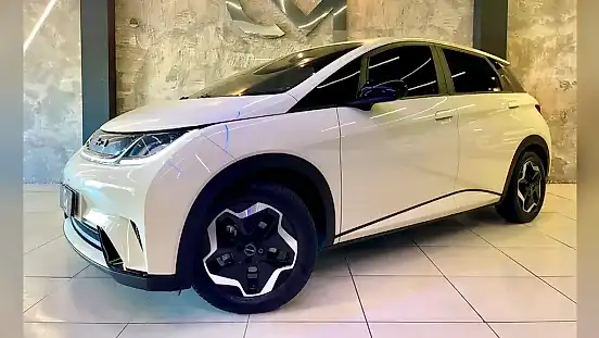 Foto de um byd dolphin