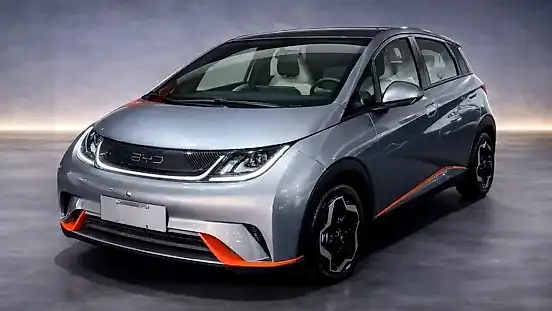 Foto de um byd dolphin