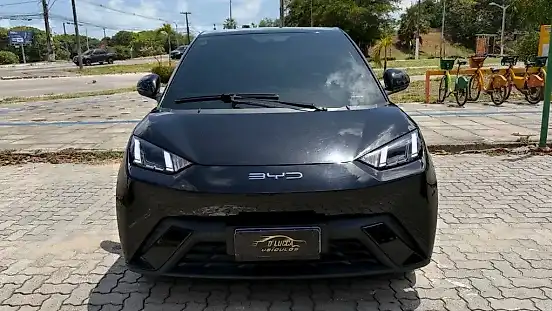 Foto de um byd dolphin mini