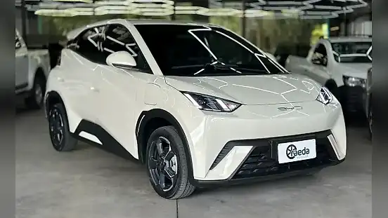 Foto de um byd dolphin mini