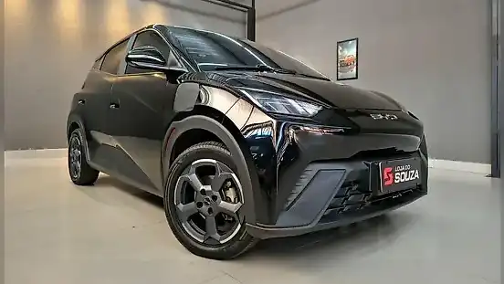 Foto de um byd dolphin mini