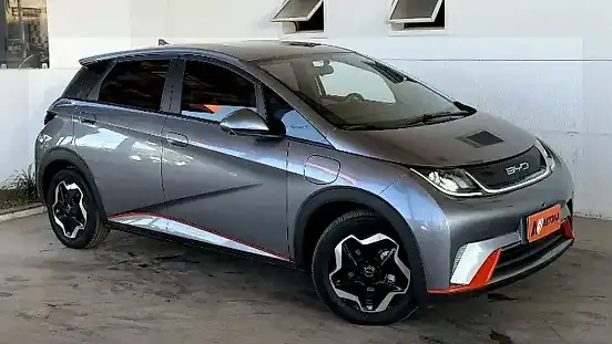 Foto de um byd dolphin