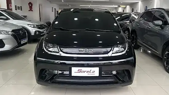 Foto de um byd dolphin