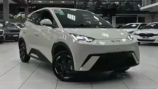 Foto de um byd dolphin mini