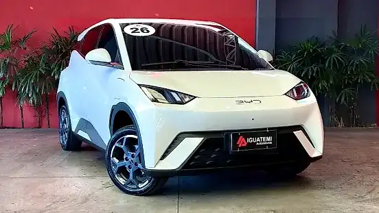 Foto de um byd dolphin mini