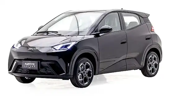 Foto de um byd dolphin mini