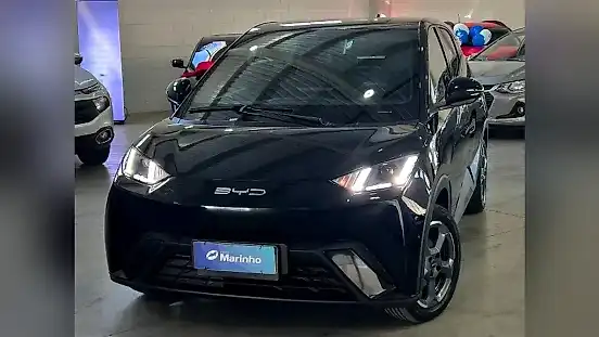 Foto de um byd dolphin mini