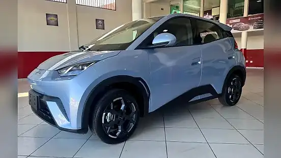 Foto de um byd dolphin mini