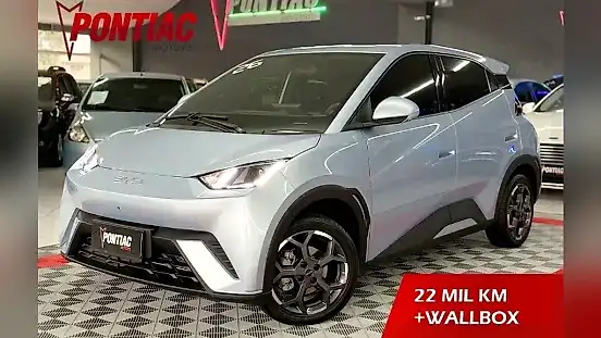 Foto de um byd dolphin mini