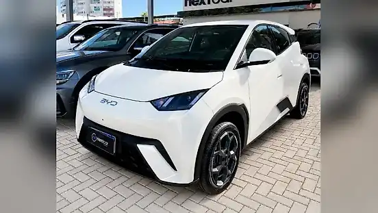 Foto de um byd dolphin
