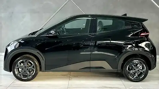 Foto de um byd dolphin mini