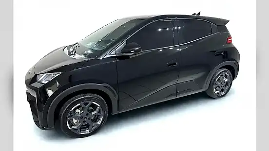 Foto de um byd dolphin mini