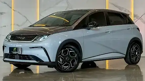 Foto de um byd dolphin plus
