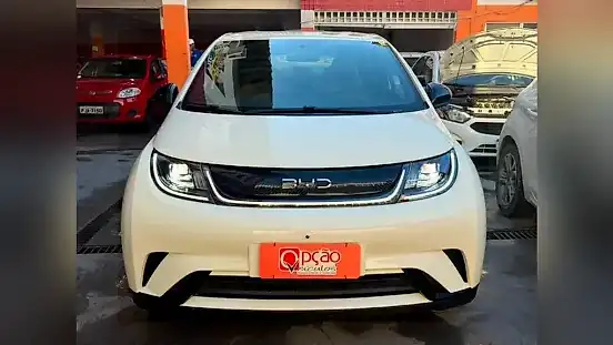 Foto de um byd dolphin