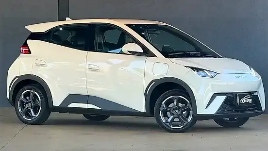 Foto de um byd dolphin mini