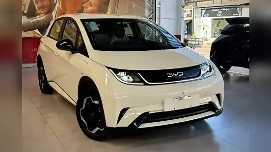 Foto de um byd dolphin
