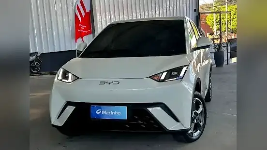 Foto de um byd dolphin mini
