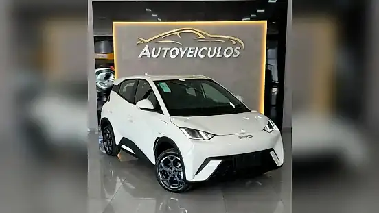 Foto de um byd dolphin mini