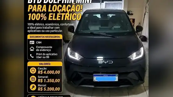 Foto de um byd dolphin mini