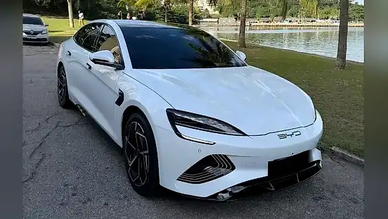 Foto de um byd seal