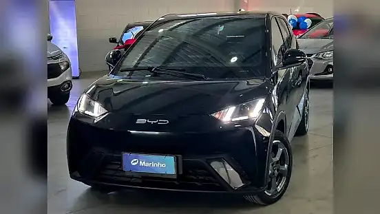 Foto de um byd dolphin mini