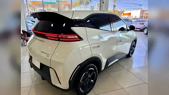 Foto de um byd dolphin mini