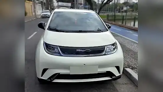 Foto de um byd dolphin