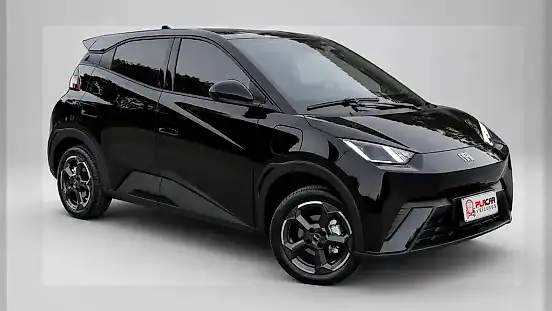 Foto de um byd dolphin