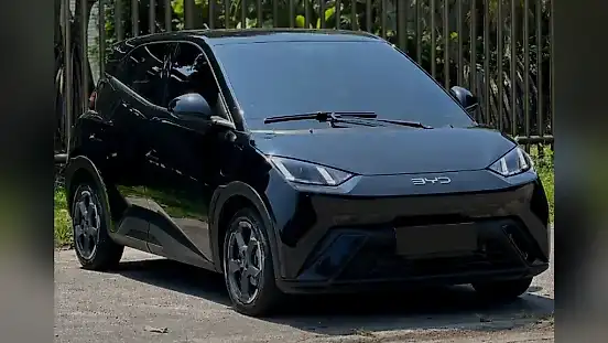 Foto de um byd dolphin