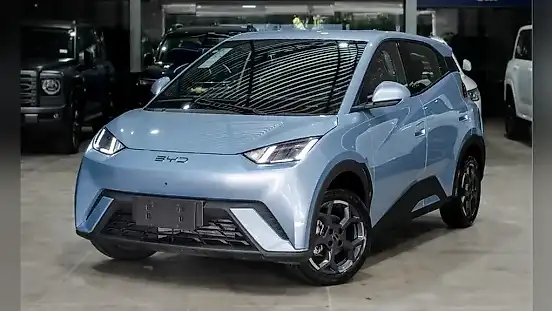 Foto de um byd dolphin