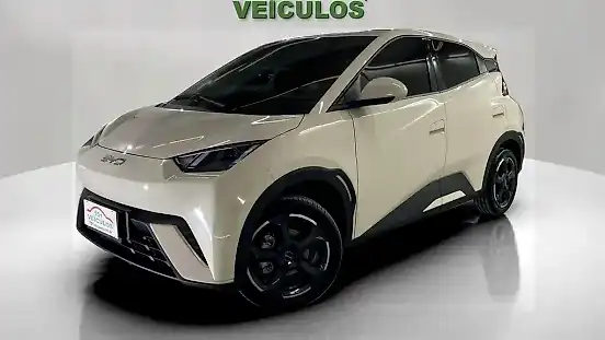 Foto de um byd dolphin mini