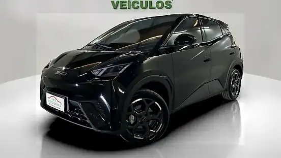 Foto de um byd dolphin mini