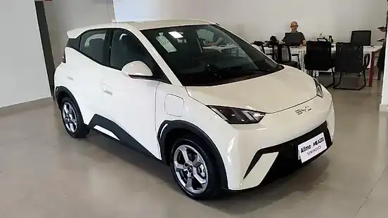 Foto de um byd dolphin mini