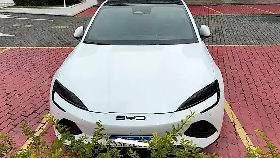 Foto de um byd seal