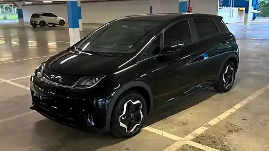 Foto de um byd dolphin