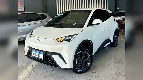 Foto de um byd dolphin mini